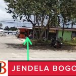 InShot_20251102_165803943